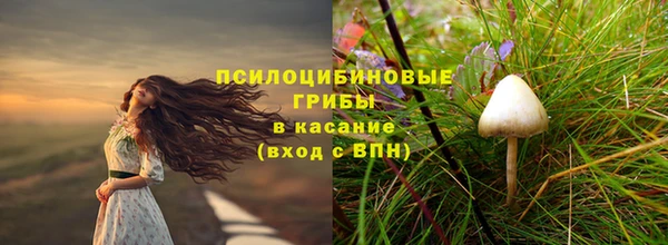 spice Абаза