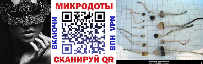Галлюциногенные грибы Psilocybine cubensis  мега зеркало  Агидель 